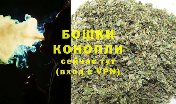 spice Володарск