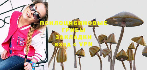 spice Володарск