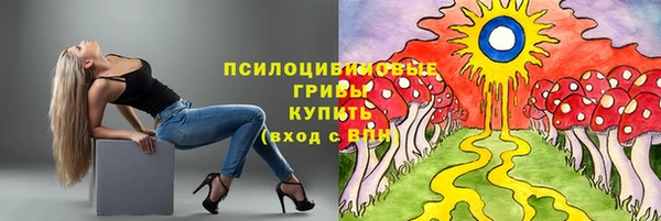 spice Володарск