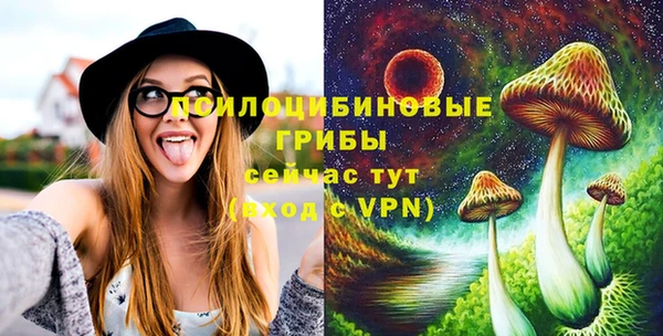 spice Володарск
