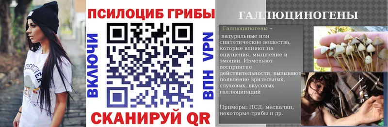 купить  сайты  Цоци-Юрт  Галлюциногенные грибы Psilocybine cubensis 