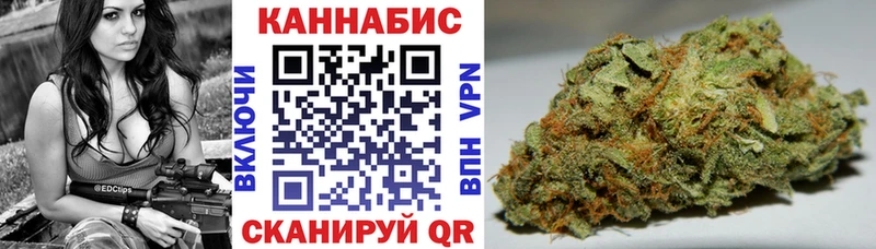 Каннабис конопля  Цоци-Юрт 